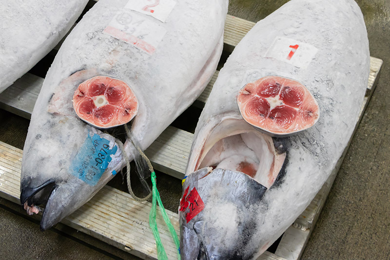 豊洲など中央市場